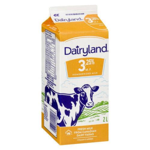 DAIRYLAND 3.25% HOMO MILK