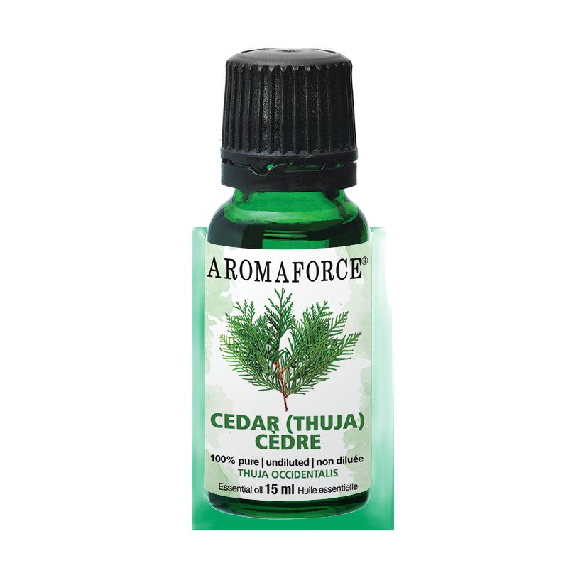 AROMAFORCE CEDAR LEAF
