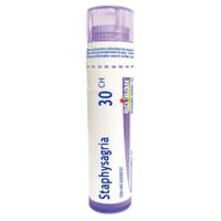 BOIRON STAPHYSAGRIA 30CH